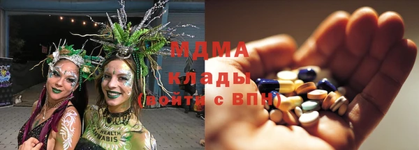 индика Арсеньев