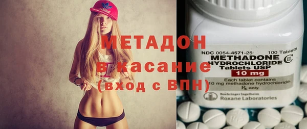 индика Арсеньев