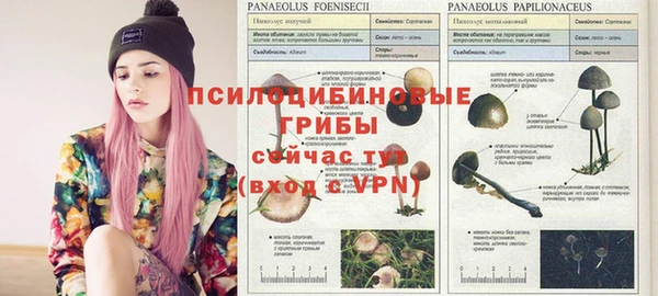 МДПВ Армянск