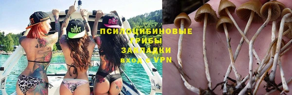 синтетический гашиш Алексеевка