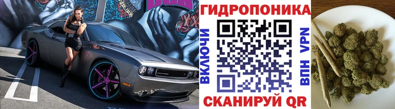 Канабис сатива Нея